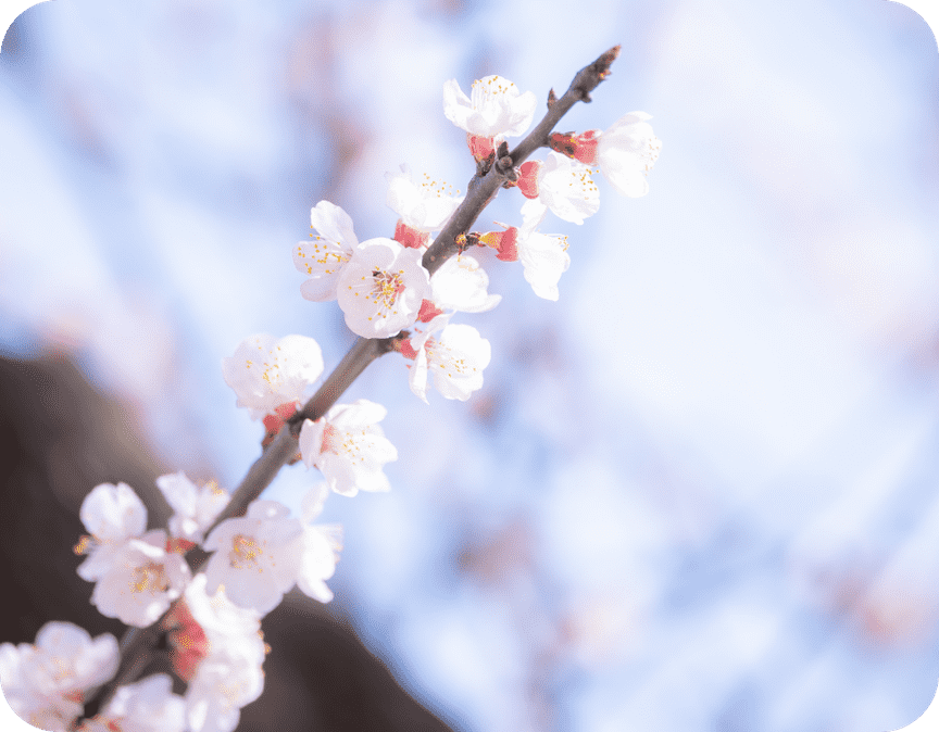 4月