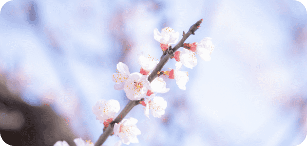 4月